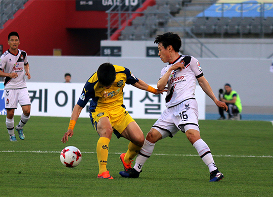 경남FC, 김해에서 까치사냥하고 무패행진 이어간다 경남FC, 김해에서 까치사냥하고 무패행진 이어간다